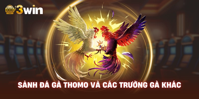 Giao Diện Sảnh Đá Gà 3WIN.